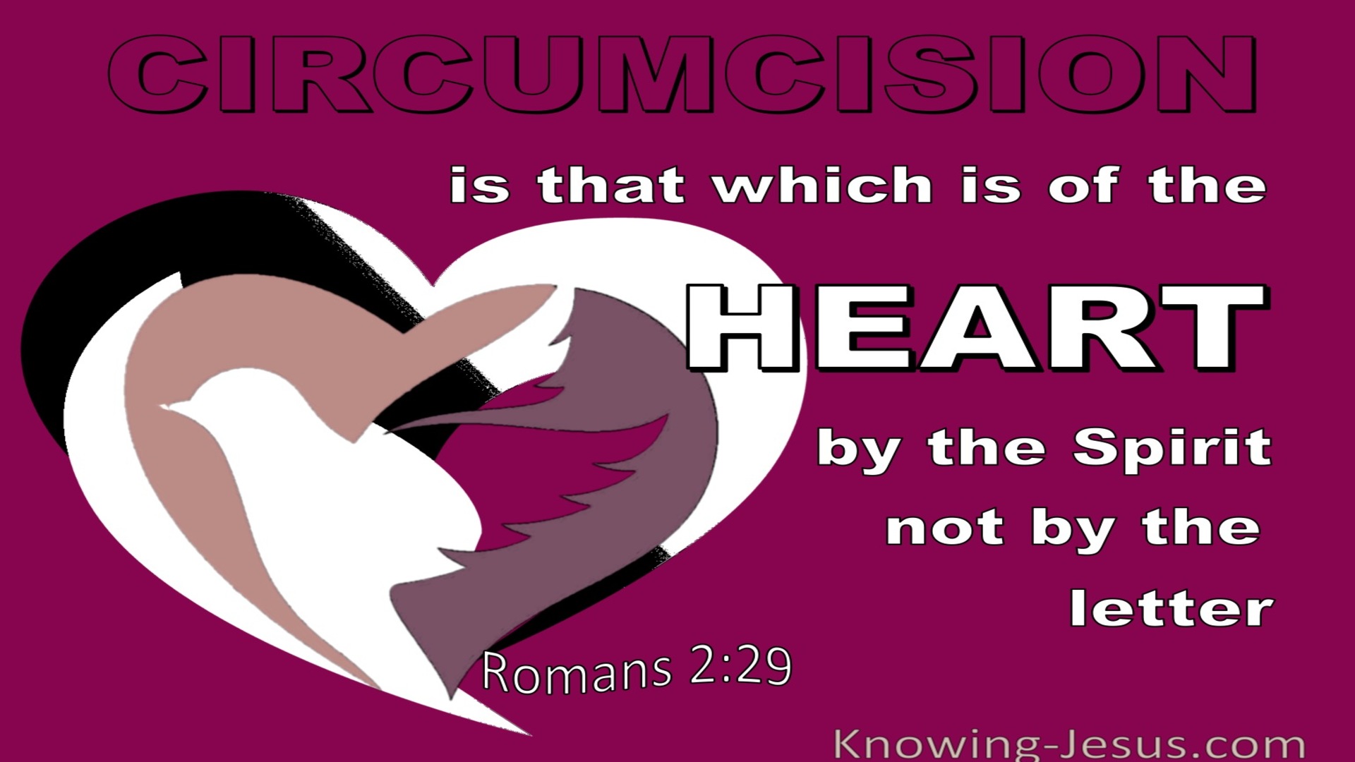 Romans 2:29 He Is A Jew Who Is One Inwardly; And Circumcision Is That Of The Heart (white)